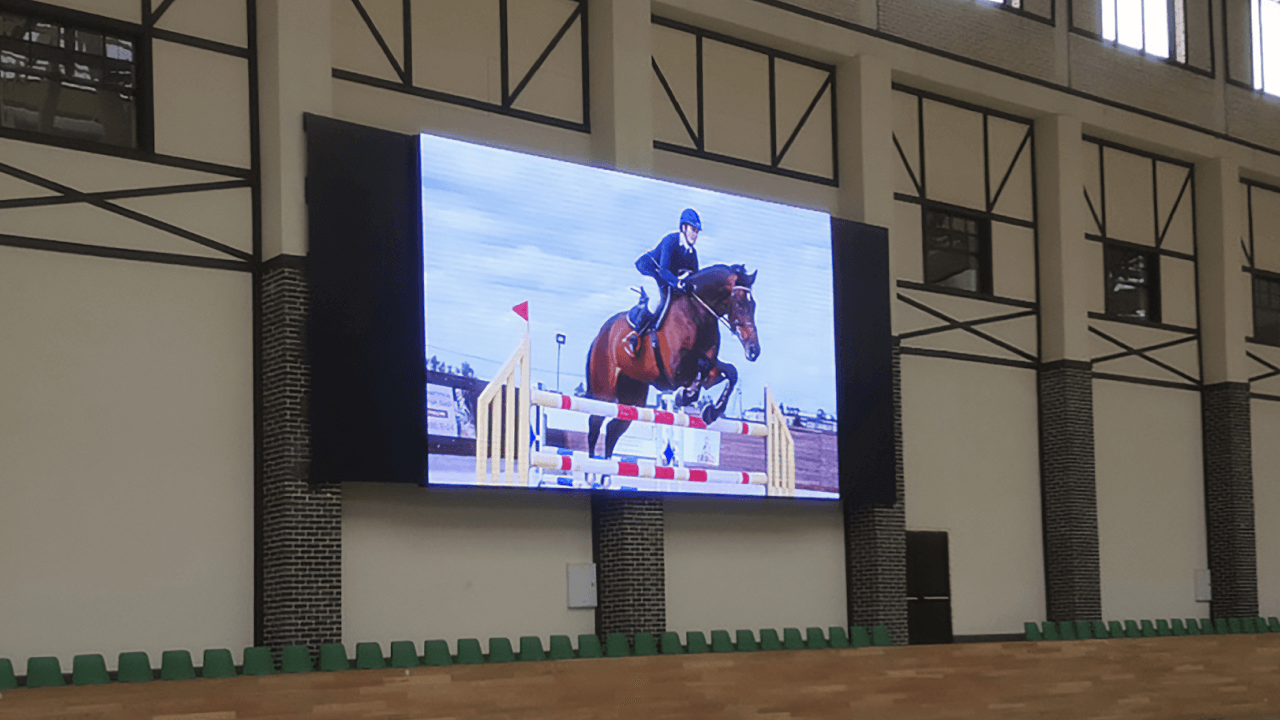 Светодиодный экран для помещения крытого манежа конного клуба «Maxima Stables»